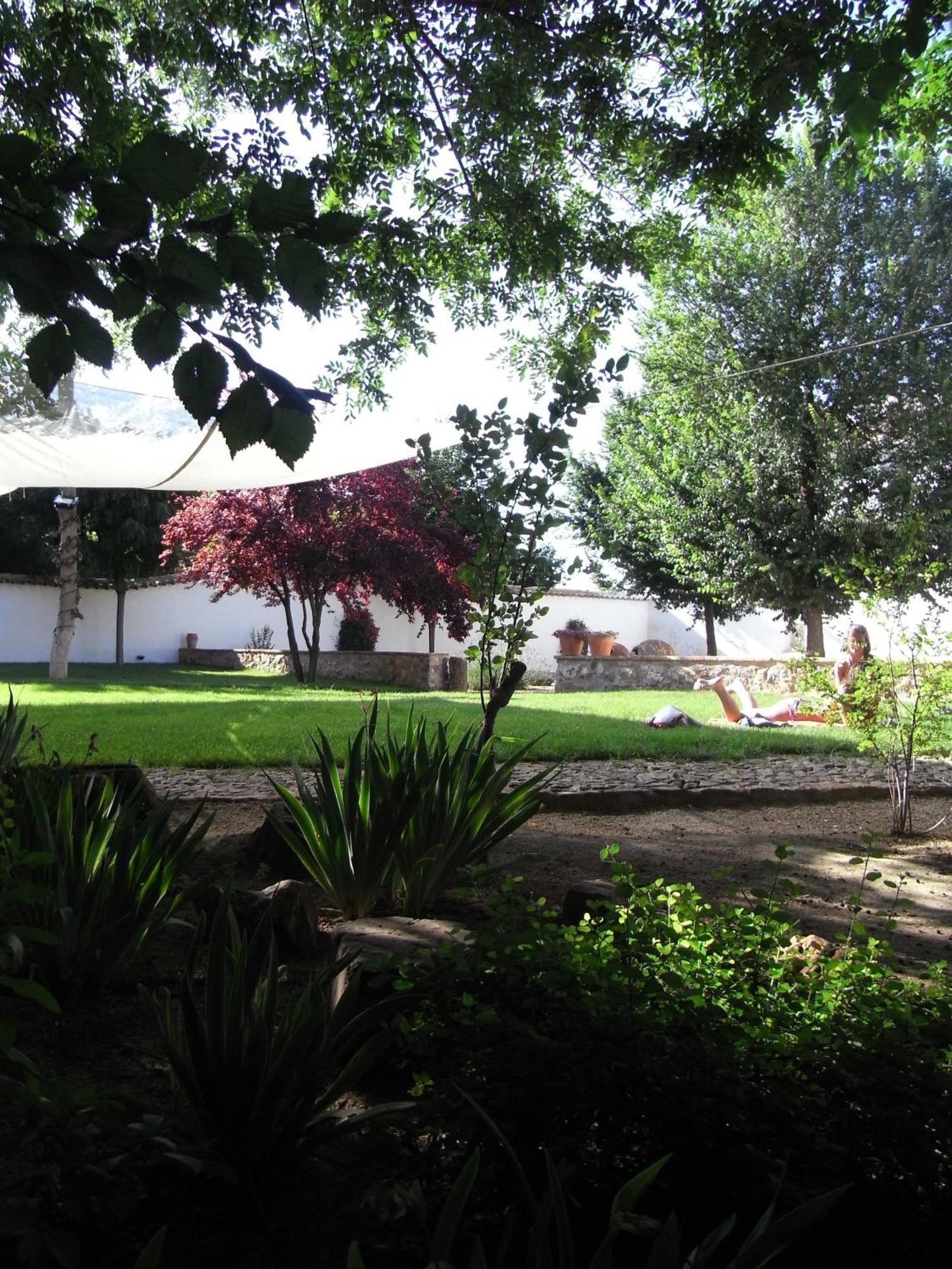 Casa Rural La Alameda Madridejos Eksteriør bilde